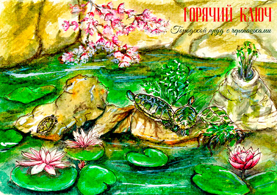 Открытка «Черепаший пруд». Горячий ключ